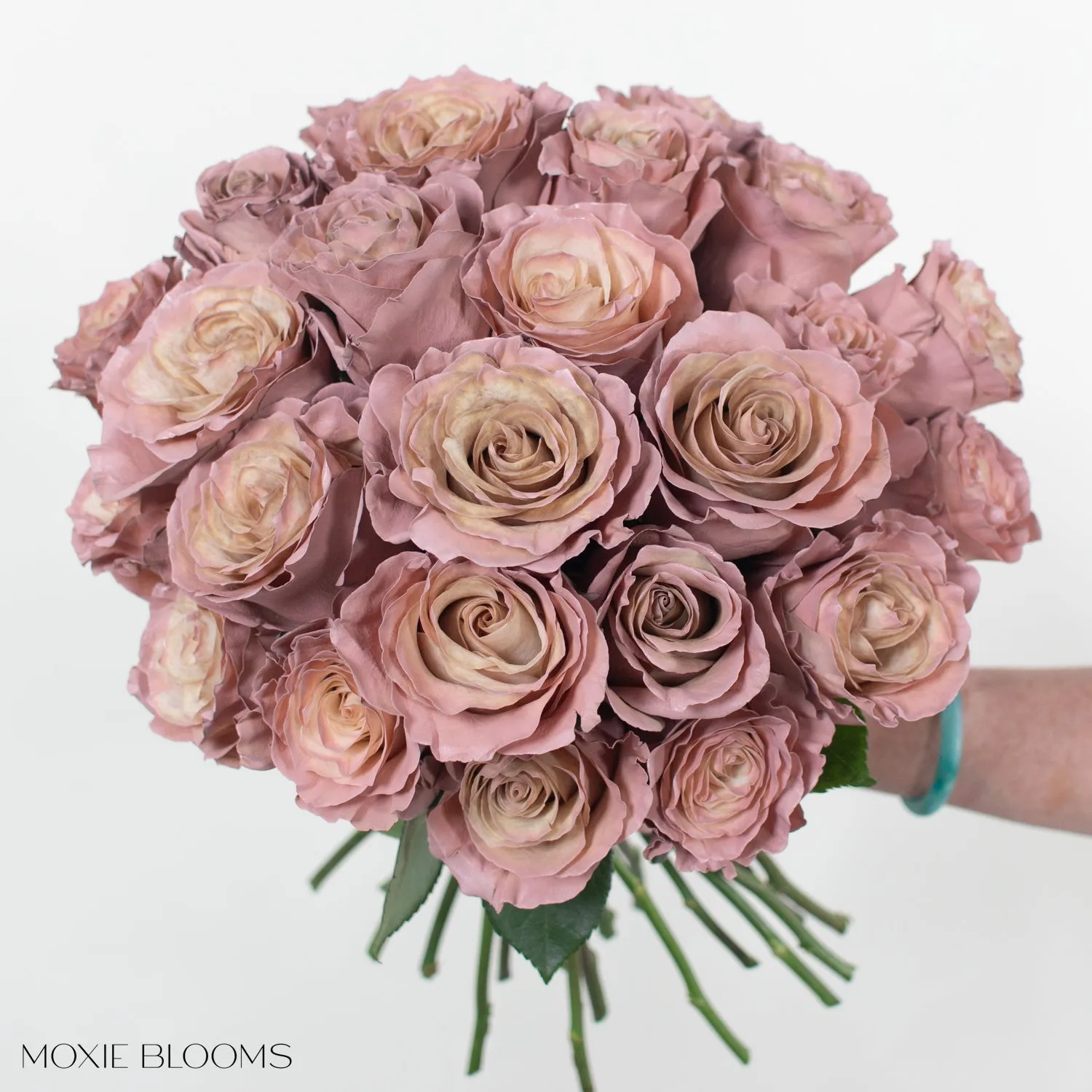 Desert Sand Novelty Roses