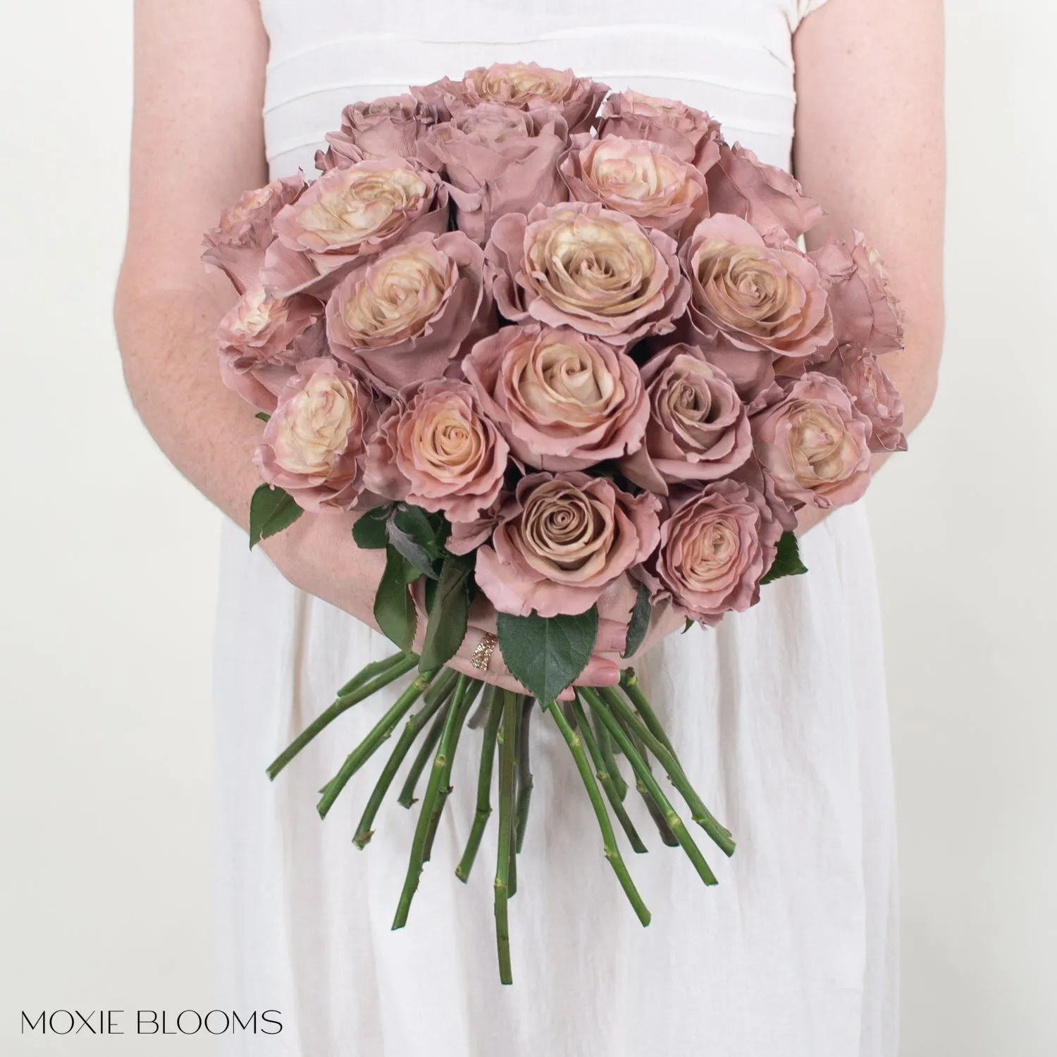 Desert Sand Novelty Roses