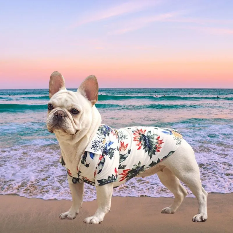 Hawaiian Dog Shirts