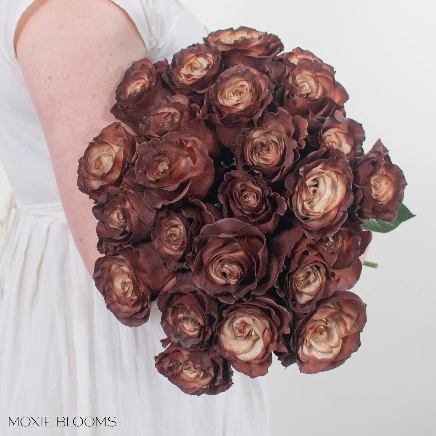 Truffle Novelty Roses